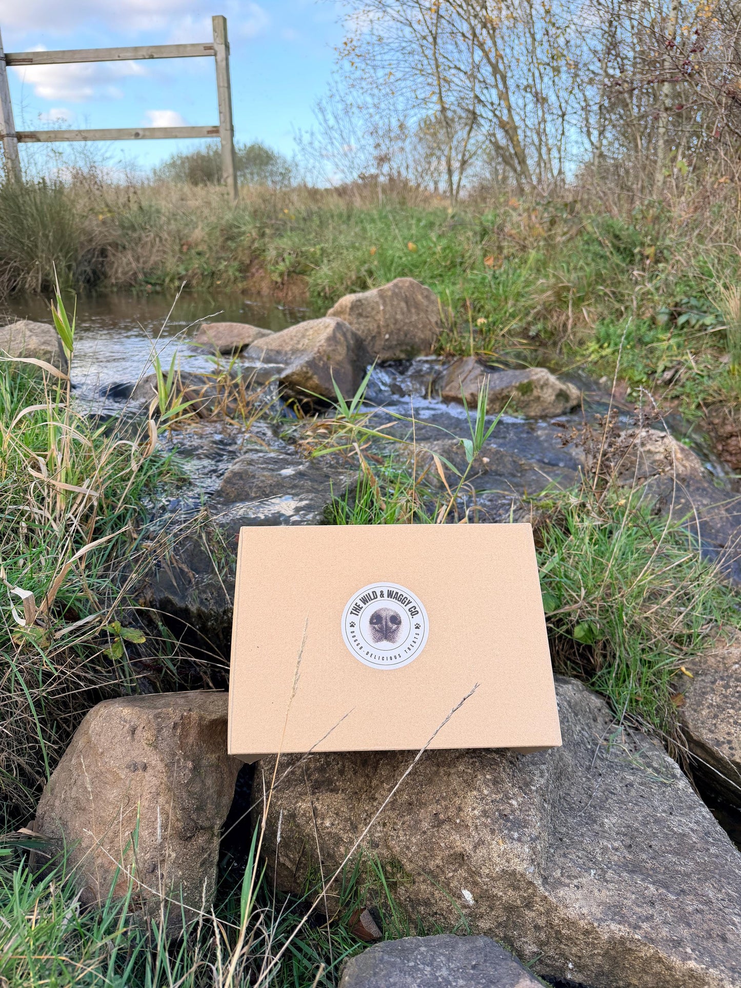Our Variety Natural Treat Box