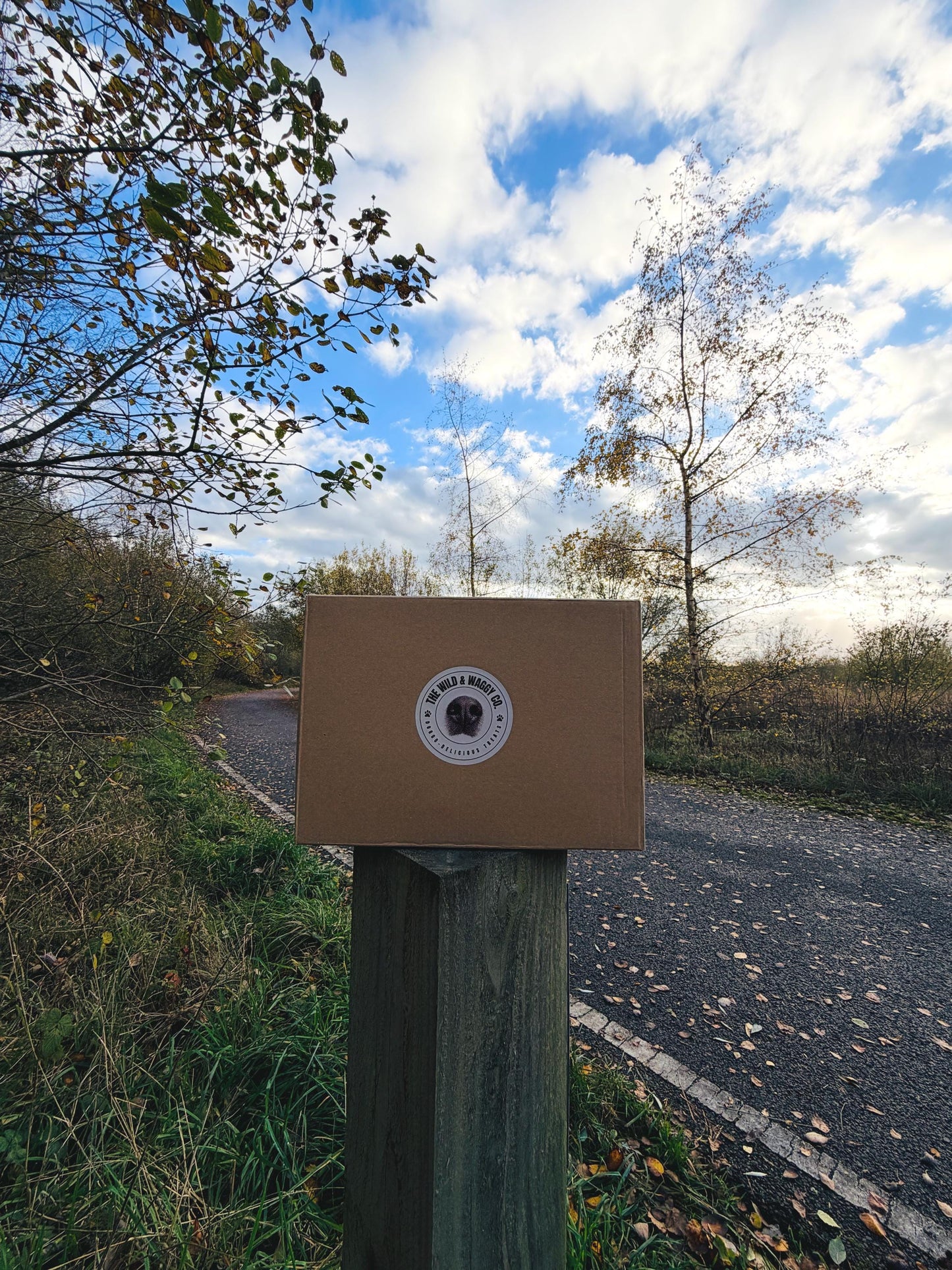 Our Not-So-Tough Natural Treat Box